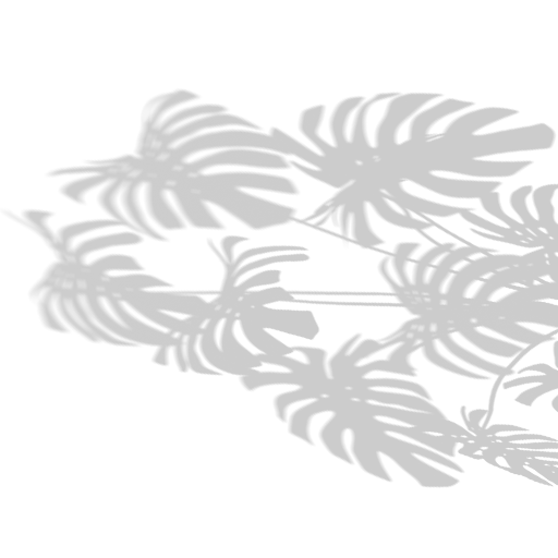 Mobile application screenshot