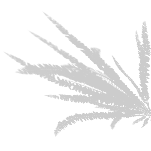 Mobile application screenshot