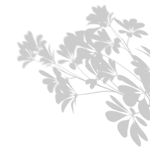 Mobile application screenshot